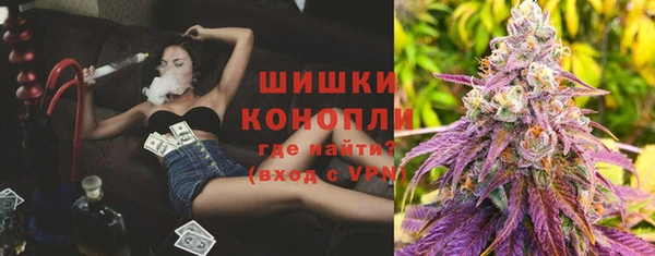 гашик Зерноград