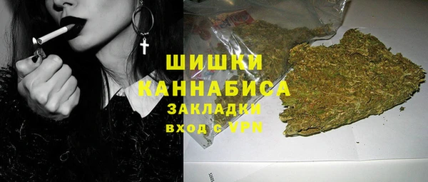 гашик Зерноград